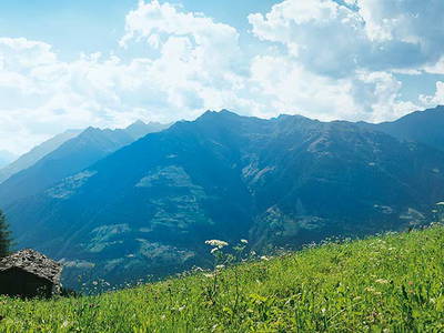 Bild 33 aus  Wiesbauer - Urlaub in Schenna - Südtirol