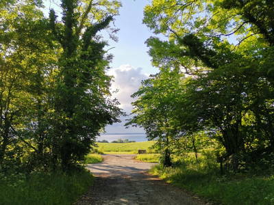 Bild 20 aus  Gut Hohenhain