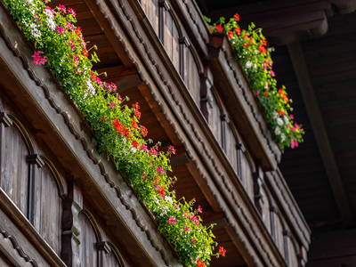 Bild 5 aus  Hornergut