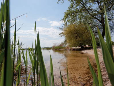 Bild 22 aus  Biberburg und Schwalbennest