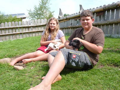 Bild 3 aus  Farnbauernhof