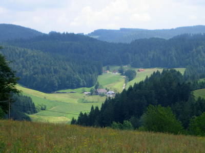 Bild 23 aus  Schreinerhäusle