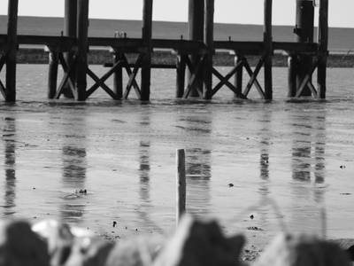 Bild 30 aus  Ferienhof Nordseeblick ****