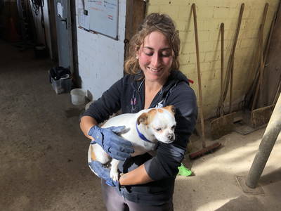 Bild 27 aus  Reitschule Fuchsenhof FN