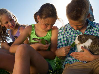 Bild 6 aus  Hof Heite