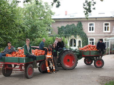 Bild 11 aus  Schümannhof