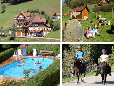 Bild 2 aus  Schillingerhof