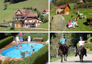 Schillingerhof aus Wolfach