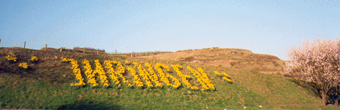 Bild 12 aus  Kaiserstühler Winzerhof Hohwieler