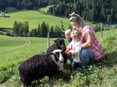 Bild 27 aus  Unterkantiolerhof