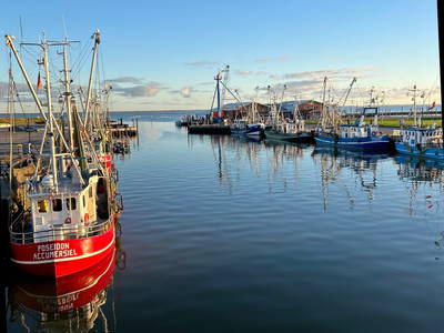 Bild 20 aus  Der Wilhelminenhof