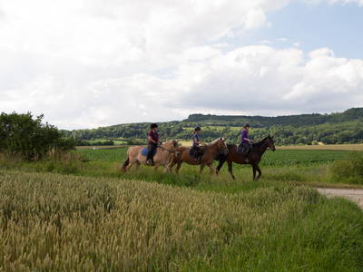 Bild 11 aus  Ferienhof Joas