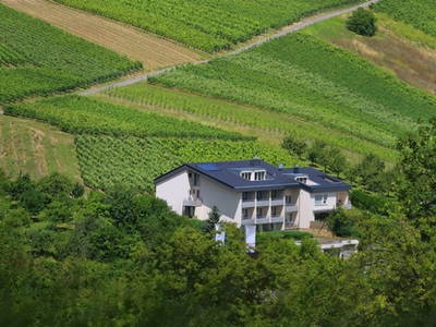 Bild 2 aus  Weingut & Weinhotel Benz