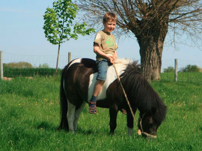 Bild 3 aus  Bauernhof Höper-Rauert