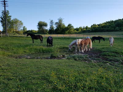 Bild 6 aus  Mühlberghof