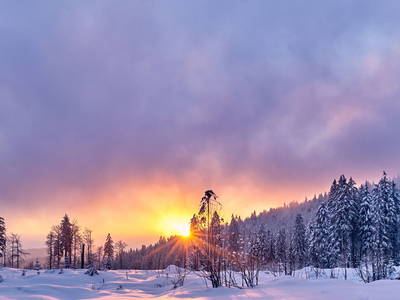 Bild 54 aus  Arber Lofts