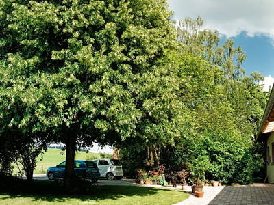 Bild 5 aus  Gripshof