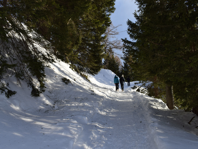 Bild 5 aus  Marschalkhof    Urlaub auf dem Bauernhof