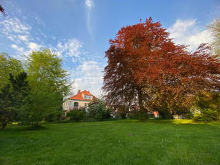 Hof Bokhorst - Biolandbetrieb - Hof Bokhorst