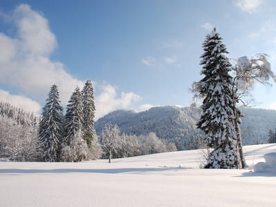 Bild 56 aus  Masererhof - Ferienbauernhof im Chiemgau