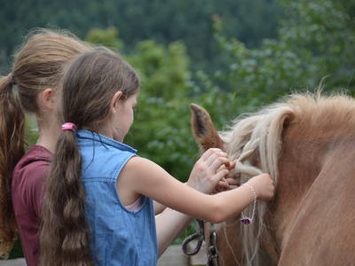 Bild 6 aus  Sternenhof