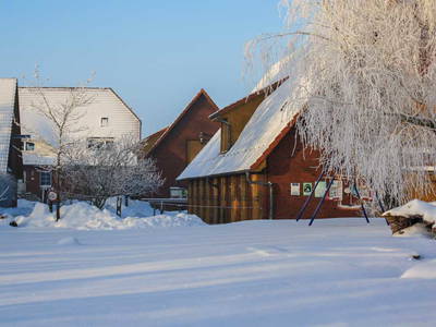 Bild 8 aus  Pferdehof Ruhnau FN