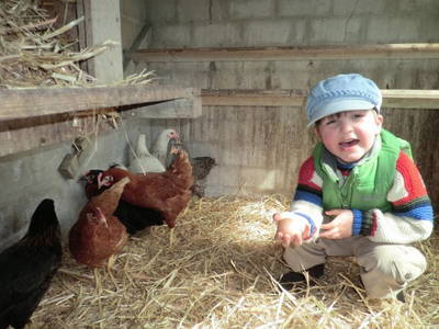 Bild 19 aus  Ferienhof Rauert