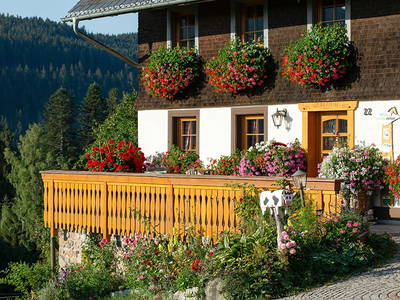 Bild 6 aus  Weberhof am Titisee