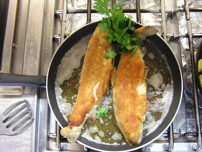 Bild 8 aus  Natur- & Wanderhotel Gasthof Mühle