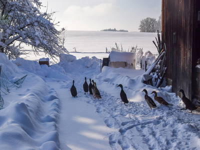 Bild 23 aus  Kebachhof