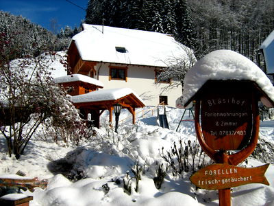 Bild 4 aus Bläsihof