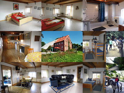 Bild 2 aus  Ferienhof Friederiken-Plaats