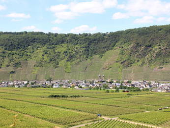 Ernst mit der Weinlage Valwiger Herrenberg