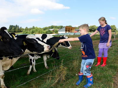 Bild 9 aus  Thelenshof