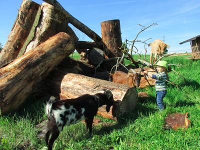 Bild 12 aus  Ferienwohnungen Strobel Eichstegen
