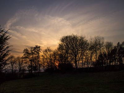 Bild 5 aus  Steinäckerhof