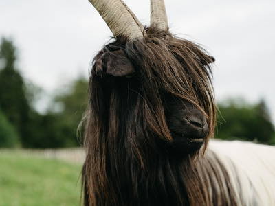 Bild 53 aus  LandSelection Bussjägerhof