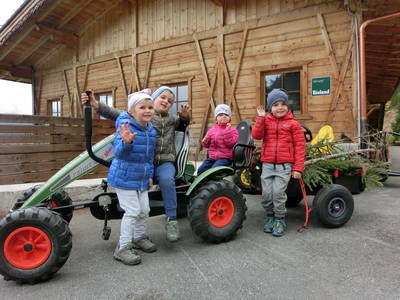 Bild 41 aus  Glinzhof