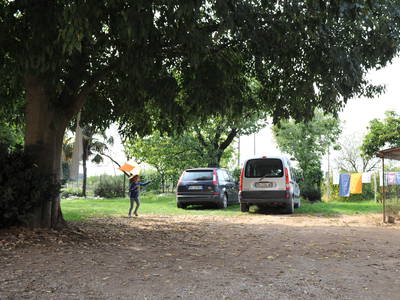 Bild 33 aus  Bauerhofurlaub zwischen den Touristenattraktionen Gardasee, Verona und Mantua