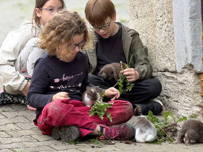 Bild 30 aus  Hof in Liebesdorf