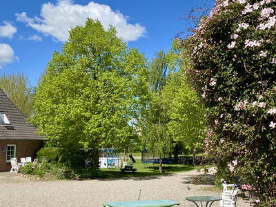 Bild 81 aus  Ferienhof Messer  Bauernhofurlaub  Ostseenähe  Ponys