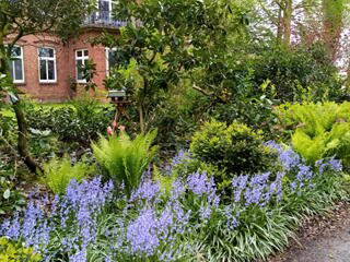 Bild 21 aus  Hof Vorwerk Familie Böye