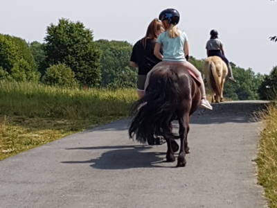 Bild 35 aus  Ferienhof Dingeldey