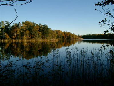 Bild 14 aus  Ferienwohnungen Toppen