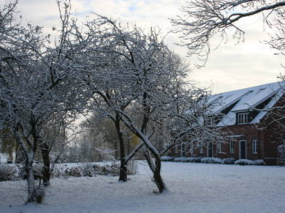 Bild 19 aus  LandSelection Ol' Backhus