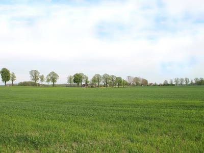 Bild 6 aus  Ferienhaus Stechelhus