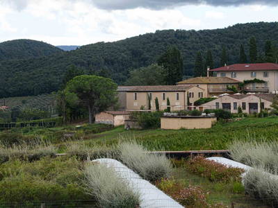 Bild 22 aus  Gutshof  Tenuta del Fontino