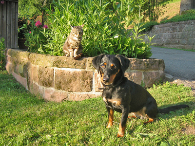 Bild 14 aus  Hanselehof