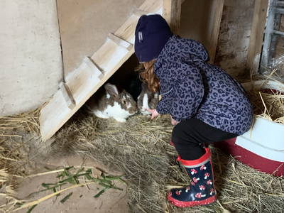 Bild 9 aus  Ferienhof Ritter im Harz