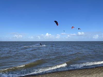 Bild 14 aus  Der Wilhelminenhof